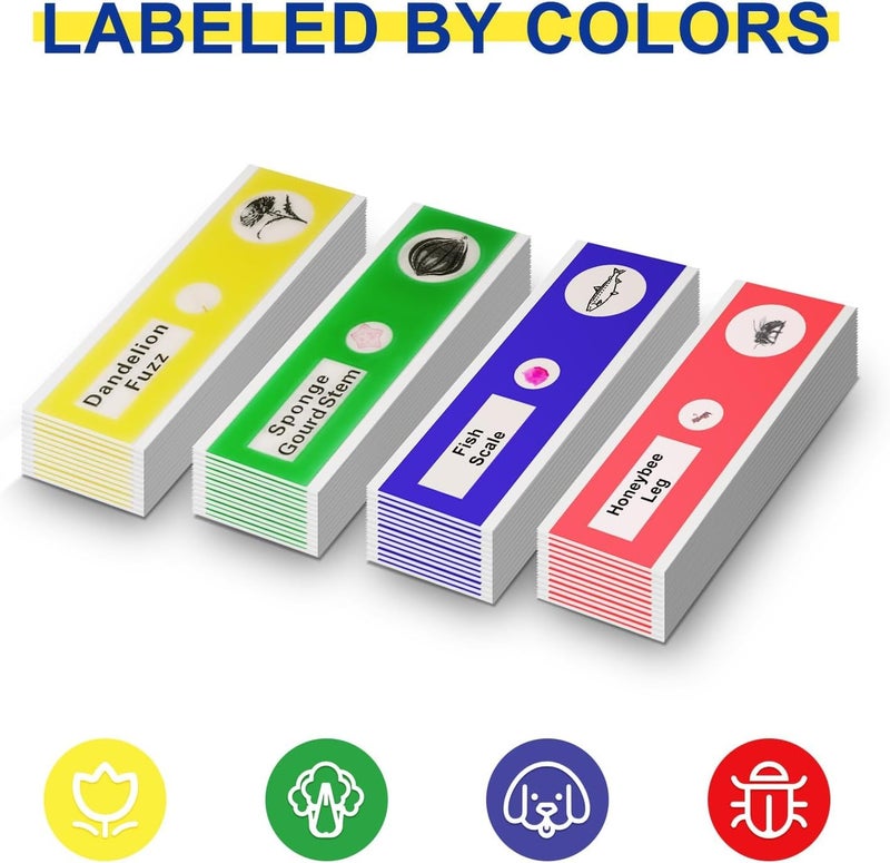 Jiusion 48Pcs Prepared Microscope Slides Specimen Animals Insects Plants Flowers Sample Biological Specimen, Stereo Microscope Slide for Kids Children Students Enlighten Education - Image 2